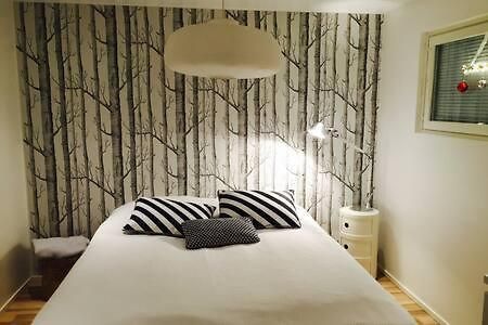 Scandinavian Style Villa 로바니에미 외부 사진